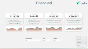 Template Financieel 3 RGS - Fabric