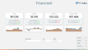 Template Financieel - King