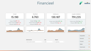 Template Financieel RGS - Fabric